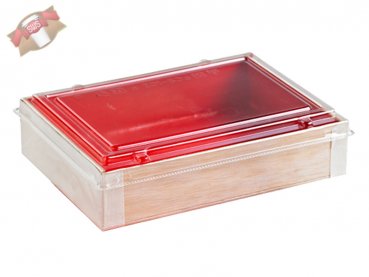 100 Stk. Bio Deckel für Holzbox transparent recycelbar Food to go 165x120 mm