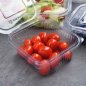 Preview: 50 Stk. Klappschalen Salatschalen mit Deckel PET 500 ml