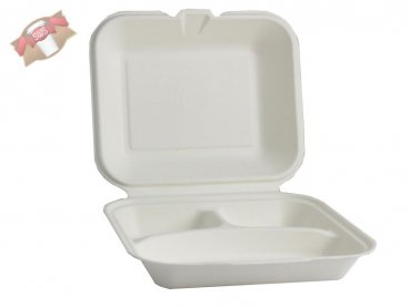 100 Stk. Lunchbox Menüboxen Bagasse 3-geteilt 24x20x8 cm