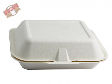 100 Stk. Lunchbox Menüboxen Bagasse 3-geteilt 24x20x8 cm