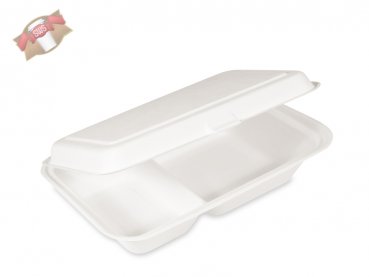 50 Stk. Lunchbox Menübox aus Zuckerrohr (Bagasse) 2-geteilt 250x162 mm