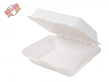 50 Stk. Lunchbox Menübox aus Zuckerrohr (Bagasse) ungeteilt 222x200 mm