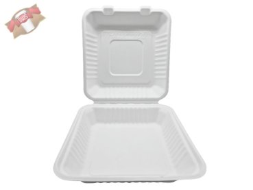 100 Stk. Lunchboxen Menüklappboxen Zuckerrohr (Bagasse) ungeteilt 23x23x8 cm