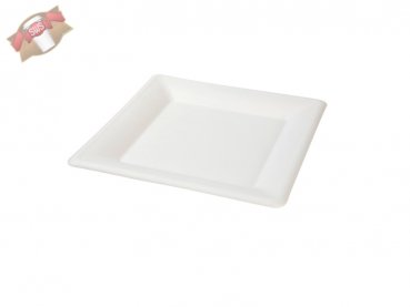 500 Stk. Zuckerrohr (Bagasse) Teller quadratisch 26x26 cm