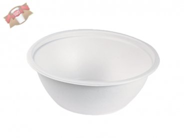 100 Stk. Zuckerrohr Bagasse Schale Teller rund 2400 ml Ø 242 mm Bio weiß